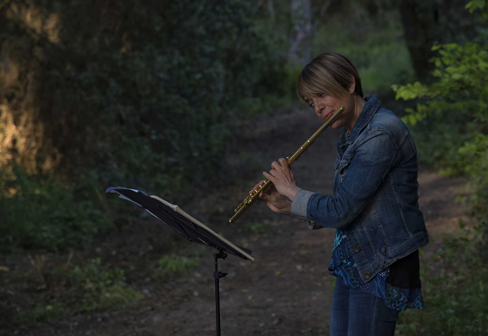 Due passi in musica nella villa di Plinio